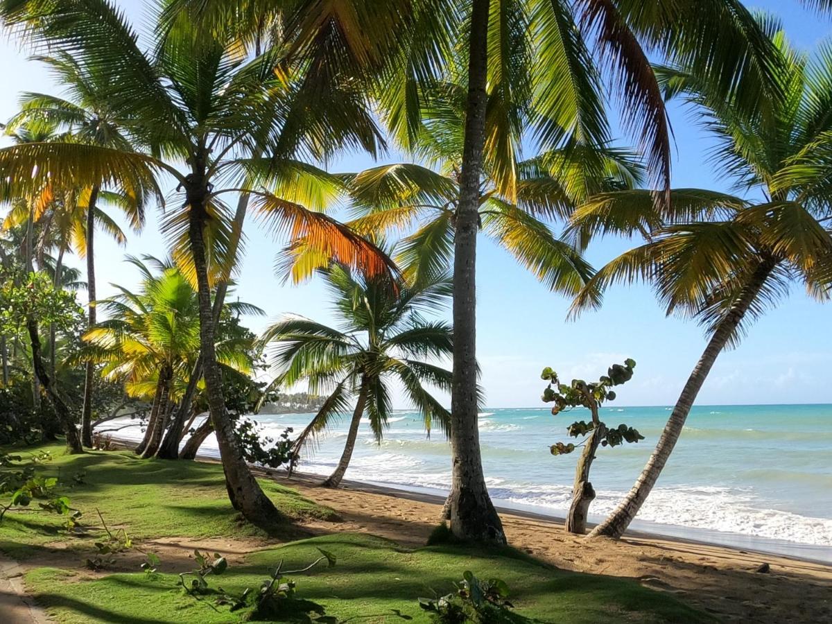 Hotel Bahia Punta Bonita Las Terrenas Extérieur photo